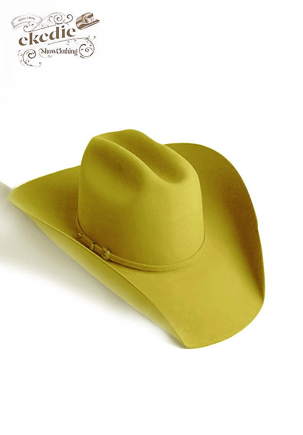 ekedie Westernhut 100X Wool